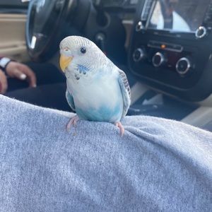 Meet your Posher, Gladys